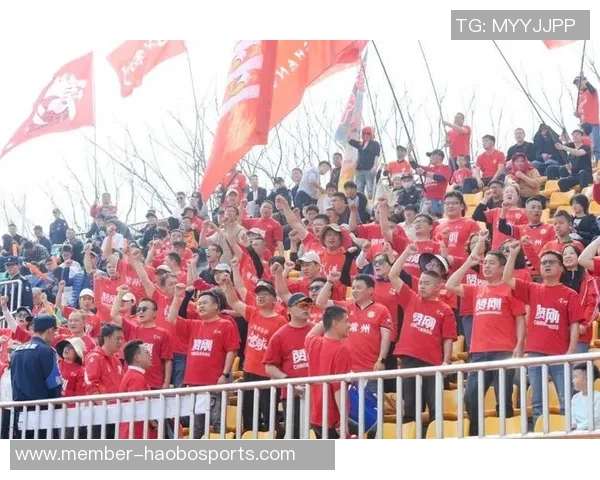 襄阳足球比赛热情高涨球迷齐聚为家乡球队呐喊助威