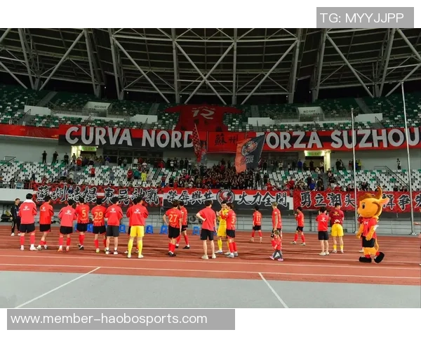 苏州东吴足球比赛精彩回顾与未来展望球迷热情高涨助力球队再创佳绩